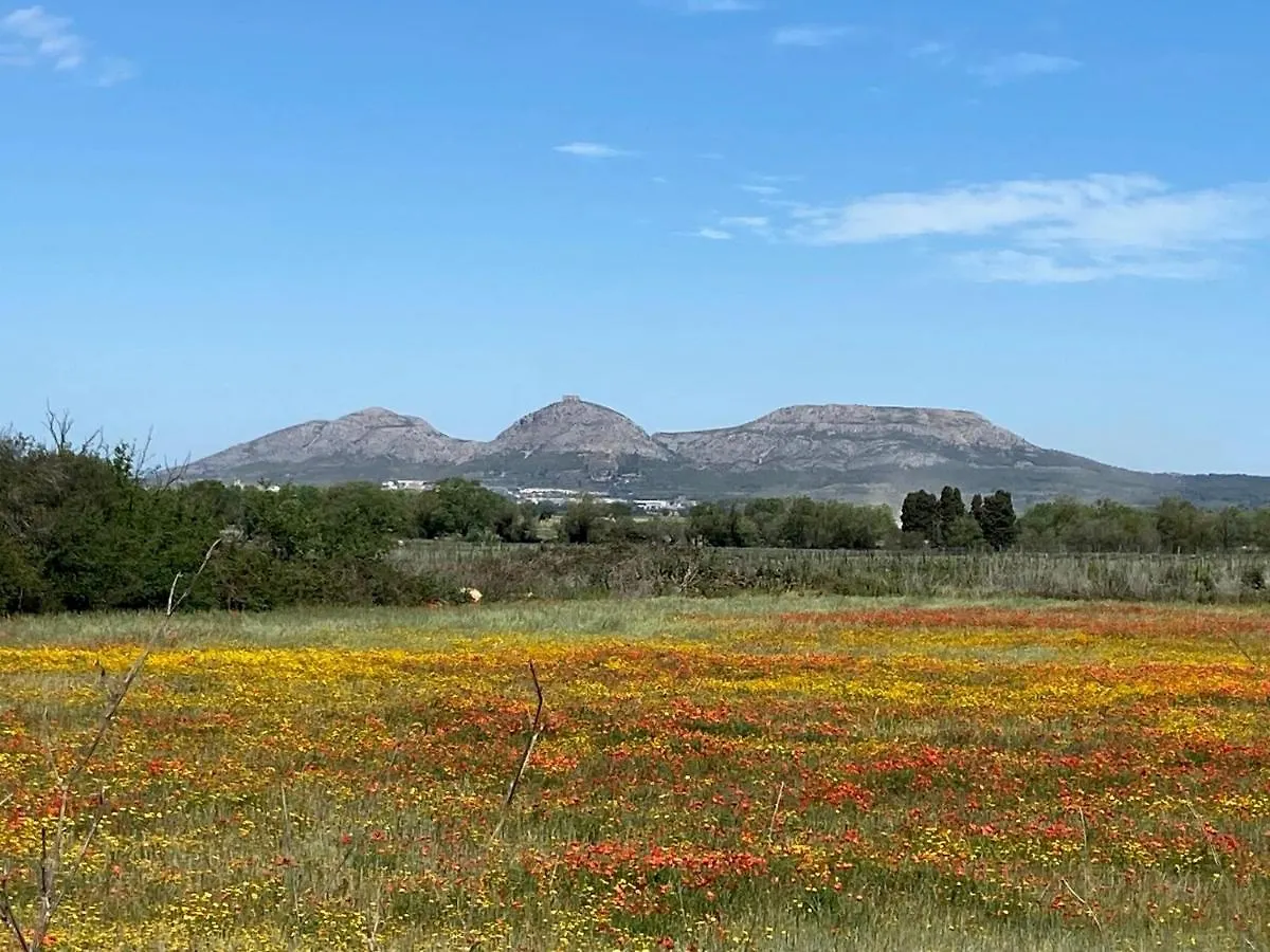 Torre Bertrana By Duquessa Hotel Collection Pals 0*,